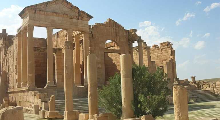 Sbeitla, Kairouan & El Djem Private Tour
