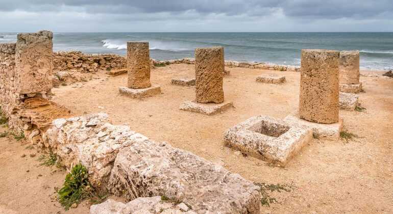 Descubrir Hammamet, Nabeul, Kelibia y Kerkouane