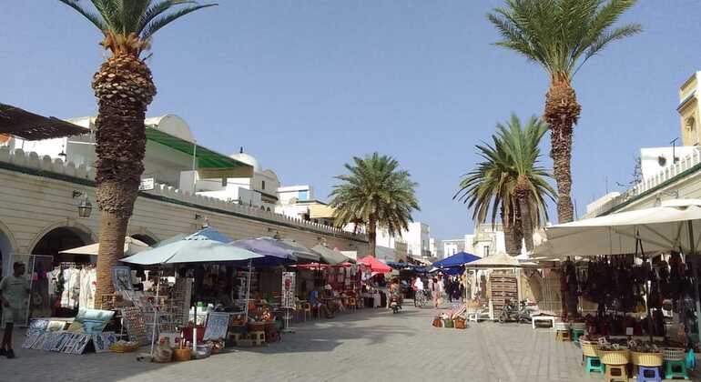 Descubrir Hammamet, Nabeul, Kelibia y Kerkouane