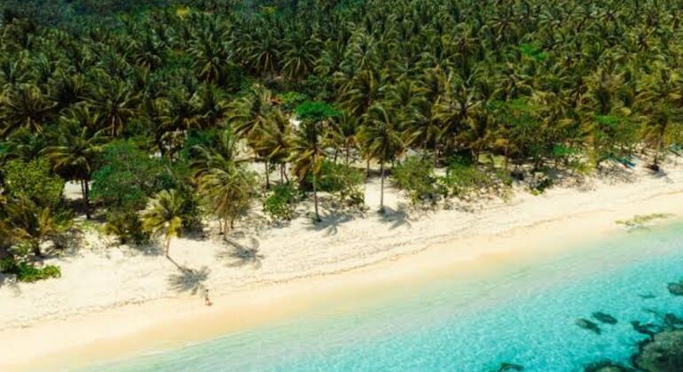 Flucht aus der Matrix auf Siargao