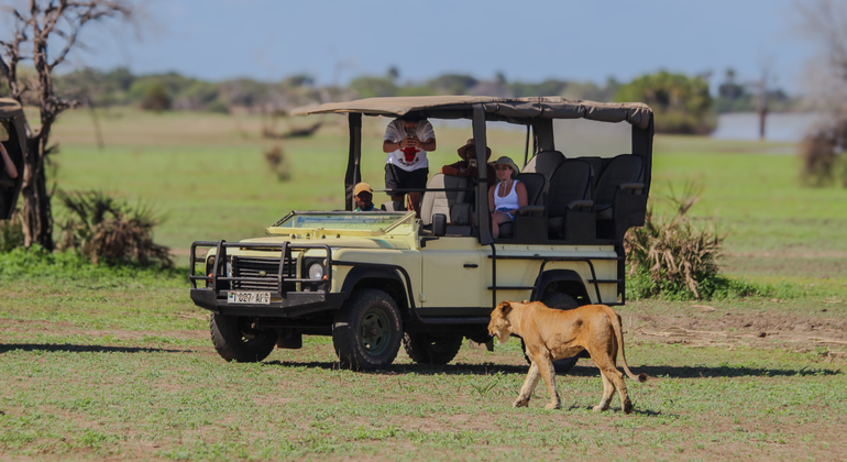 Safari-Abenteuer von Dar Es Salaam nach Selous