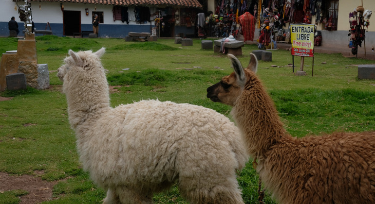 Historischer Rundgang durch Cusco