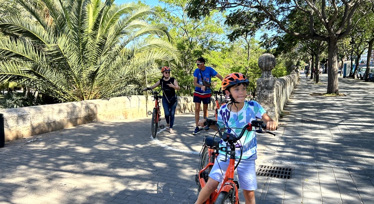 Circuit de 2,5 heures à vélo ou en e-bike avec guide pour découvrir les points forts de Valence