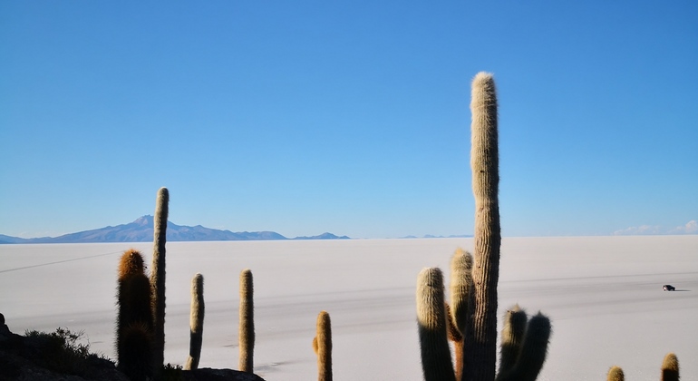 Uyuni Salzwüste Tour
