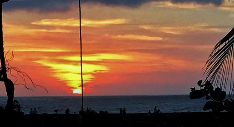 Descubra el Encanto de la Ciudad de Galle