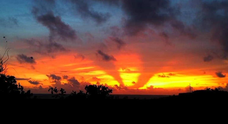 Descubra el Encanto de la Ciudad de Galle