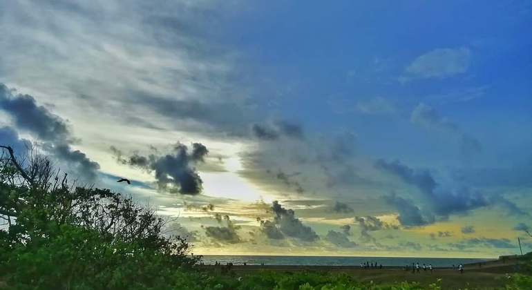 Descubra el Encanto de la Ciudad de Galle