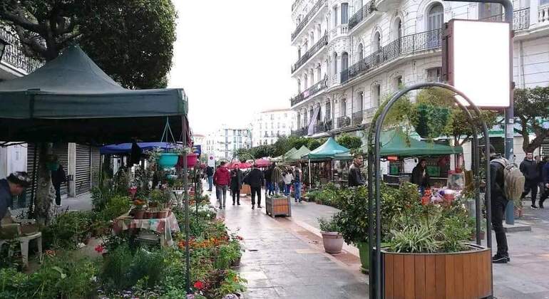 Explore las Maravillas de Argel