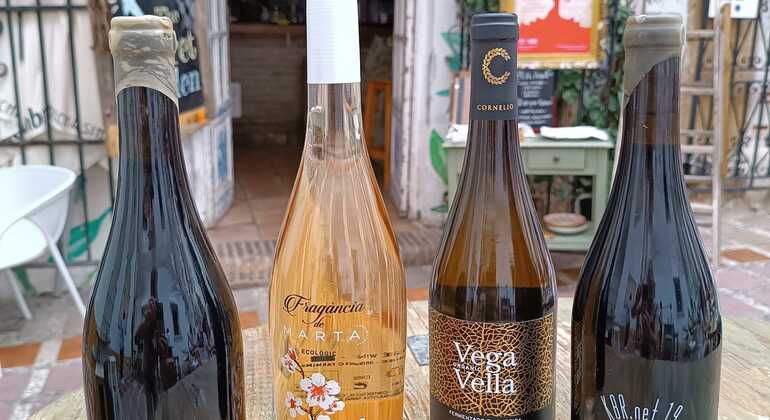 Degustazione di vini e tour esclusivi a Marbella