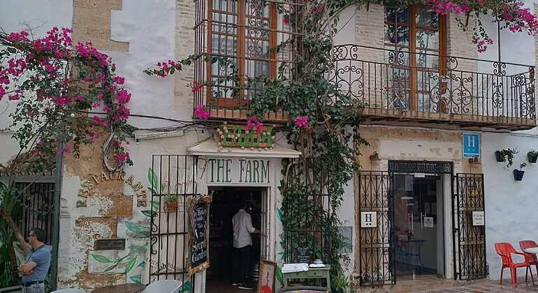 Degustazione di vini e tour esclusivi a Marbella