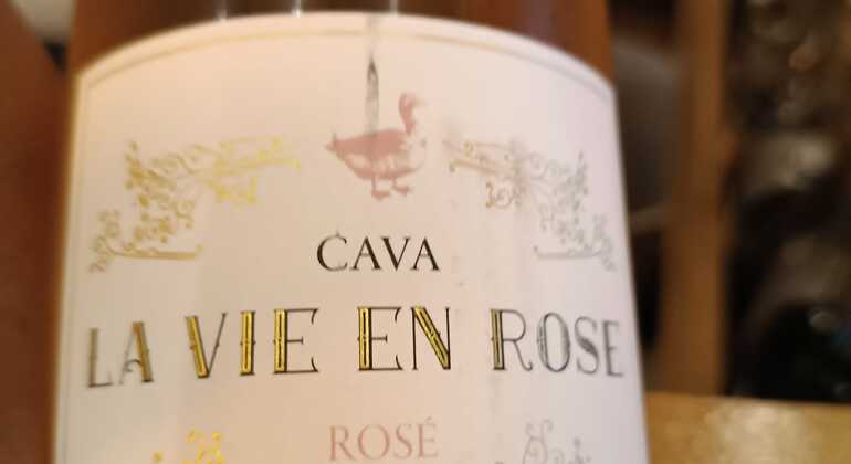 Degustazione di vini e tour esclusivi a Marbella