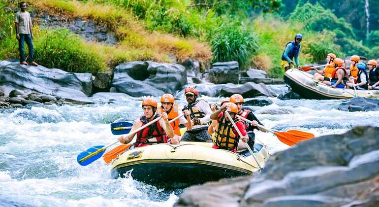 Explore la Cultura y la Aventura de Sri Lanka