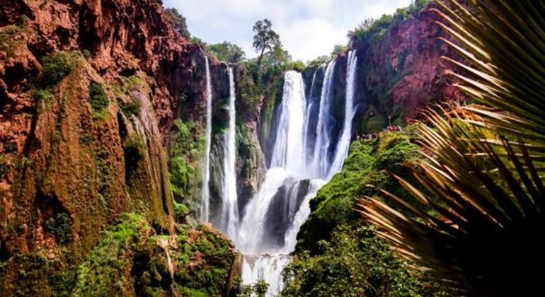 Aventura en las Cascadas de Ouzoud en Marruecos