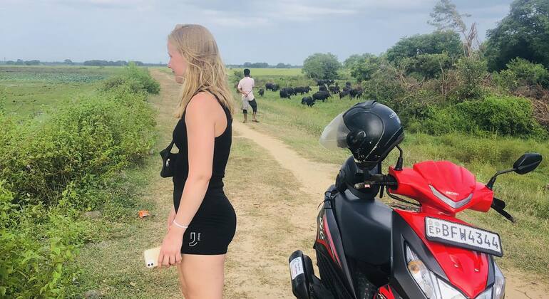 Excursión en Scooter por Arugam Bay