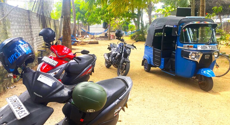 Excursión en Scooter por Arugam Bay