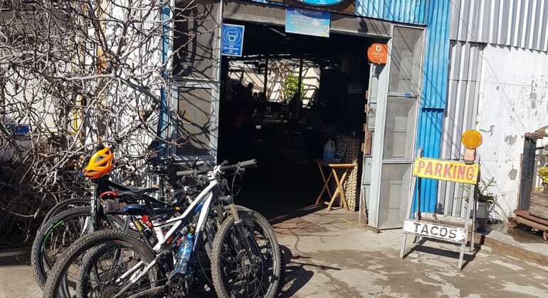 Tacos & Bike Fun Tour