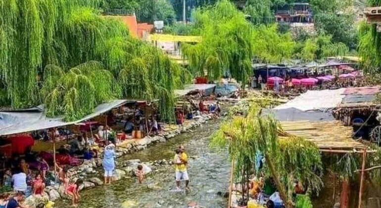 Marrakech: Das Ourika-Tal und die Wasserfälle entdecken