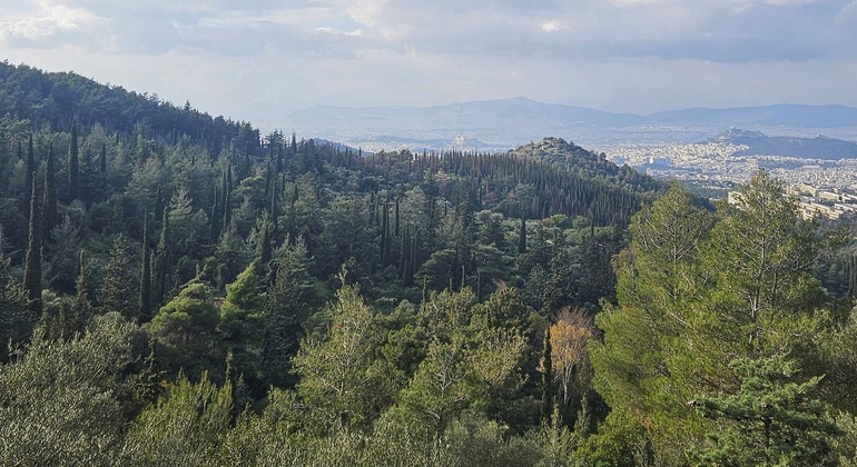 Wandern in Athen: Das Drachenhaus von Hymettus