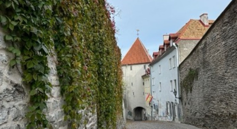 Explore Medieval Tallinn & Merchant House Architecture
