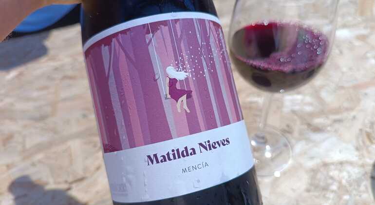 Tour a piedi di Nerja e Frigiliana Degustazione di vino e vermouth