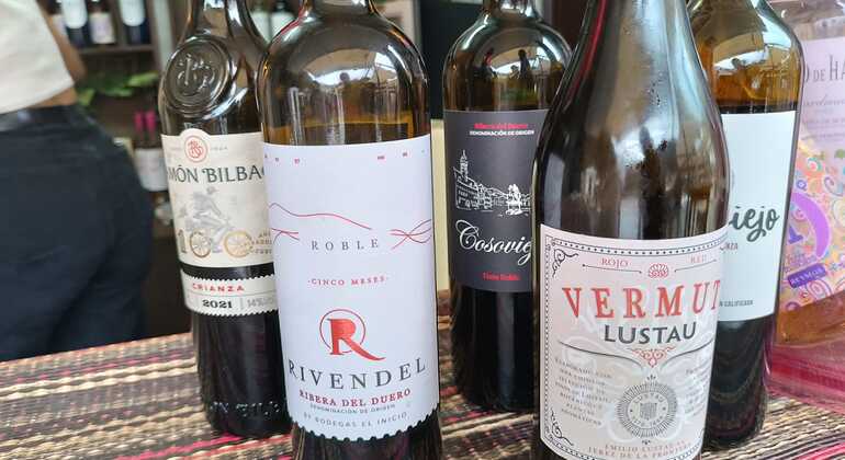 Mijas Pueblo Wine & Walking Experience