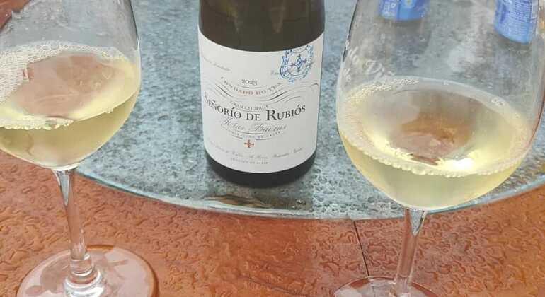 Mijas Pueblo Wine & Walking Experience