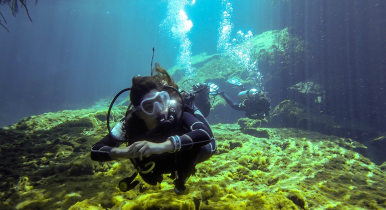 Découvrez la plongée sous-marine à La Azohia