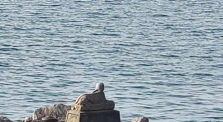 Miramare: El Castillo más Romántico, Bello y Triste