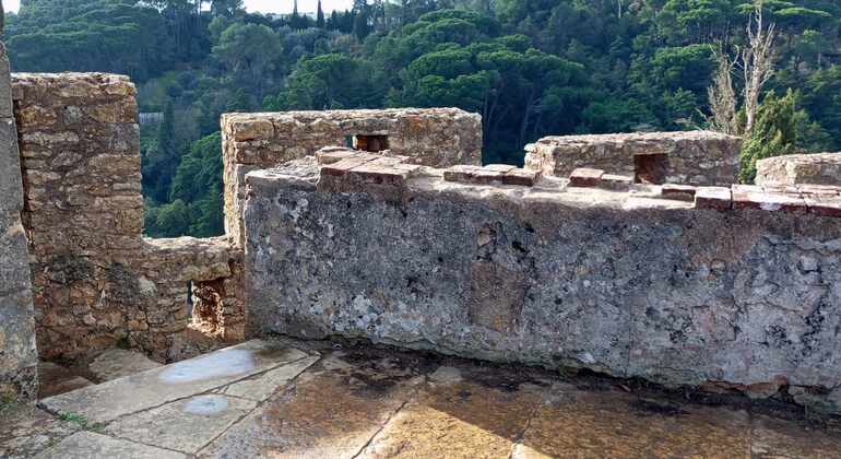 Explore el Patrimonio Templario del Castillo y Convento de Tomar