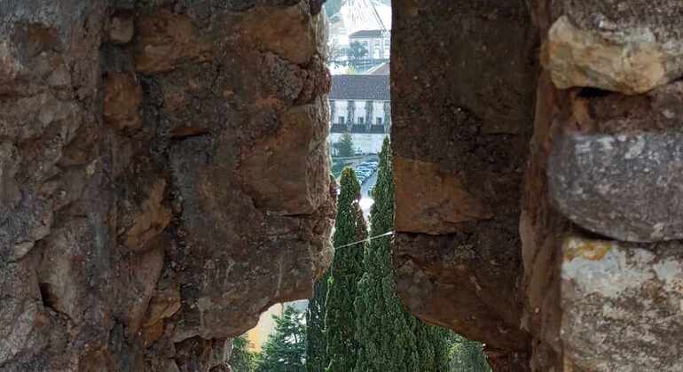 Explore el Patrimonio Templario del Castillo y Convento de Tomar