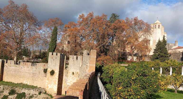 Explore el Patrimonio Templario del Castillo y Convento de Tomar