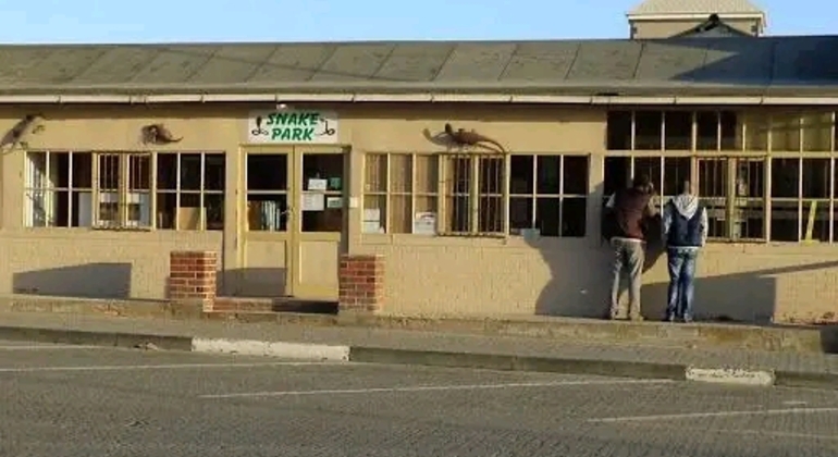 Erkunden Sie das Herz von Swakopmund Township Tours