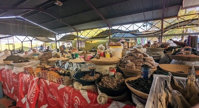 Entdecken Sie Windhoeks Katutura Township