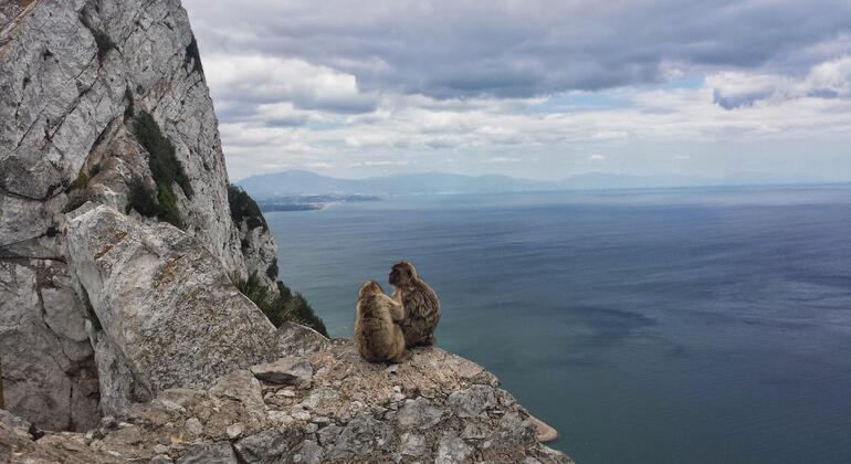 Rock Tour in Gibraltar