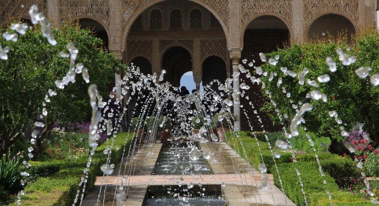 Visita guidata all'Alhambra di Granada