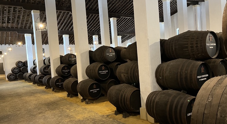 Vin et tradition dans les bodegas de Jerez