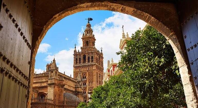 Visita dell'Alcazar, della Cattedrale e della Giralda