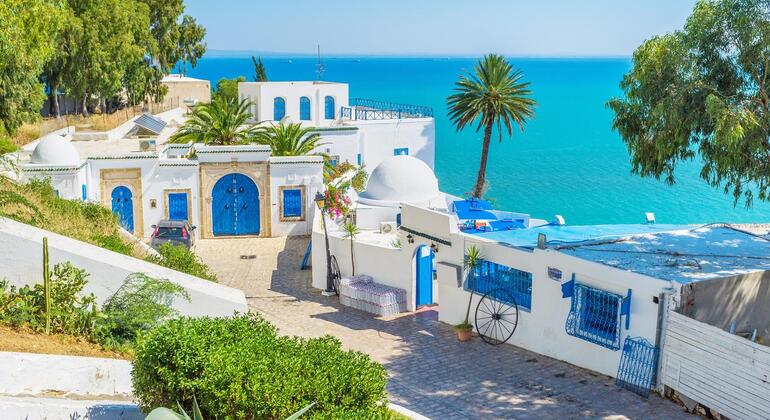 Explore Tunis and Sidi Bou Said Highlights