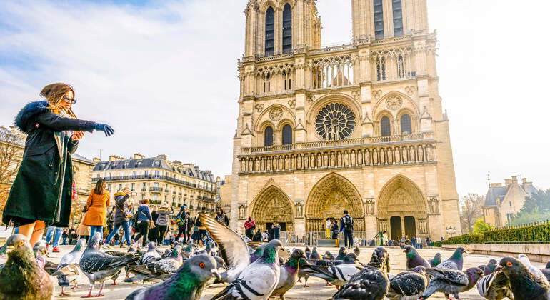 Audio Guide App: Paris Notre-Dame Cathedral