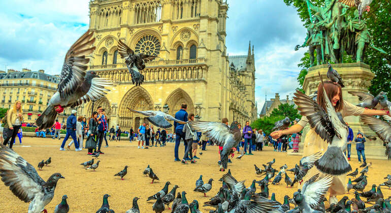 Audio Guide App: Paris Notre-Dame Cathedral