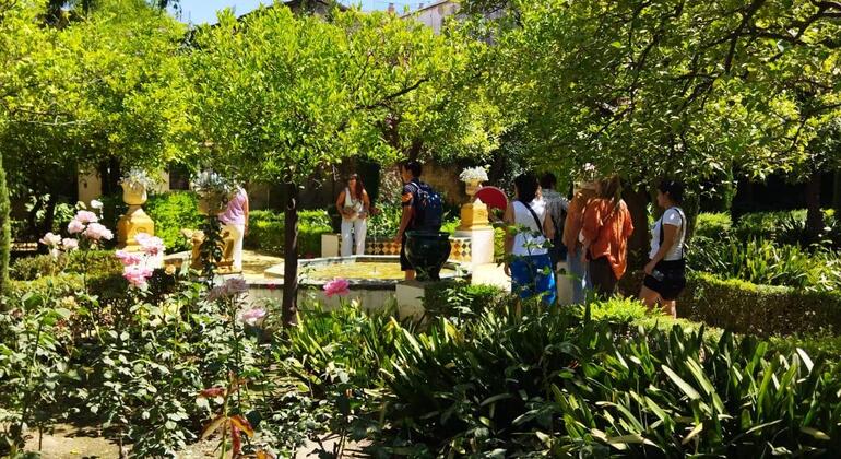 Visita guidata al Palacio de las Dueñas