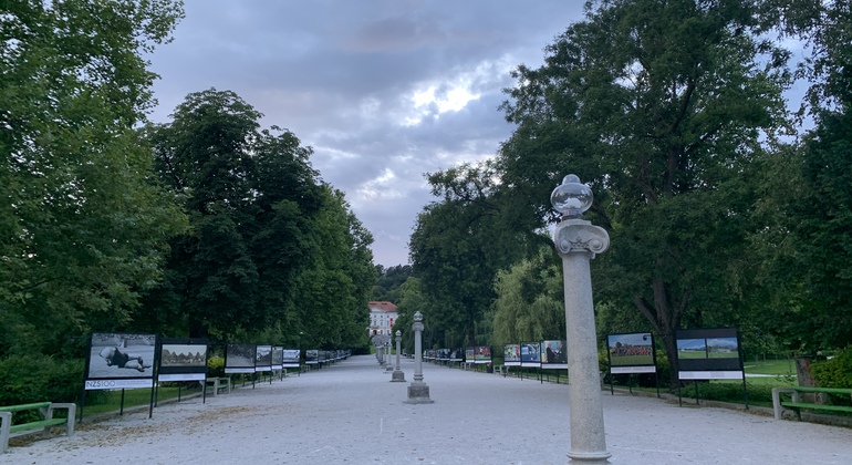 Ljubljana Tour on Bike or E-Scooter