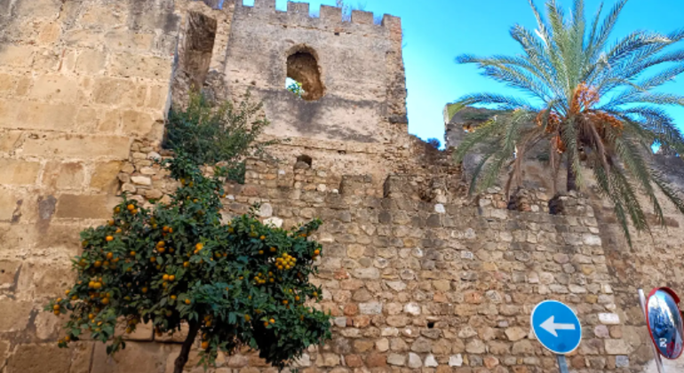 Marbella: tour a piedi di gruppo