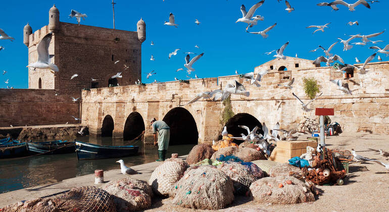 De Marraquexe a Essaouira: história, cultura e mar