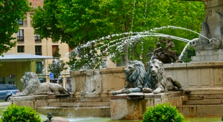 Esplorare Aix-en-Provence con un esperto locale