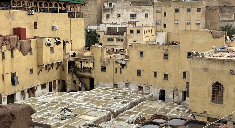 Explore the Cultural Medina of Fes on a Walking Tour