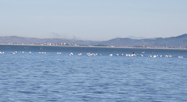 Excursión de un día a Durres y Kruje