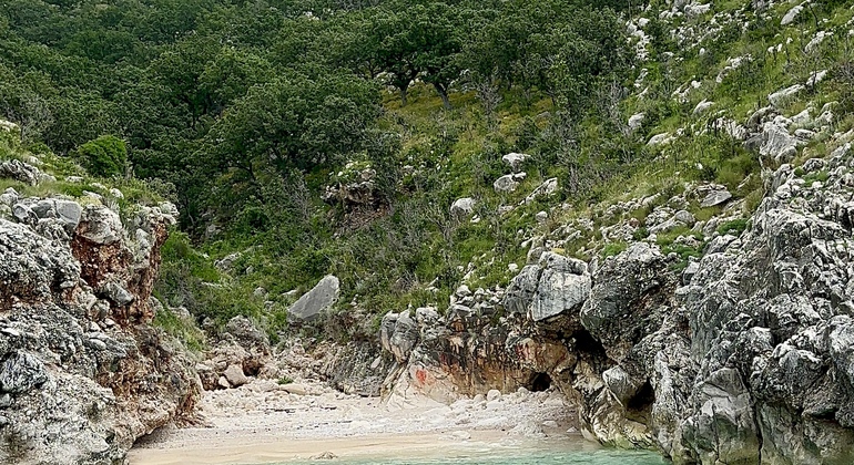 Abenteuer zur Grama Bay und Blue Gem Cave Speedboat Tour