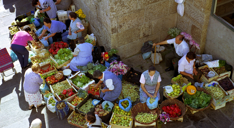 Gastronomic Experience in Santiago