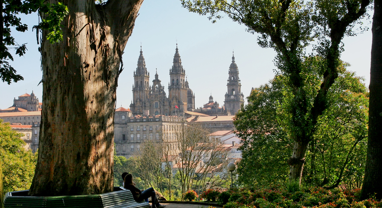 Gastronomic Experience in Santiago